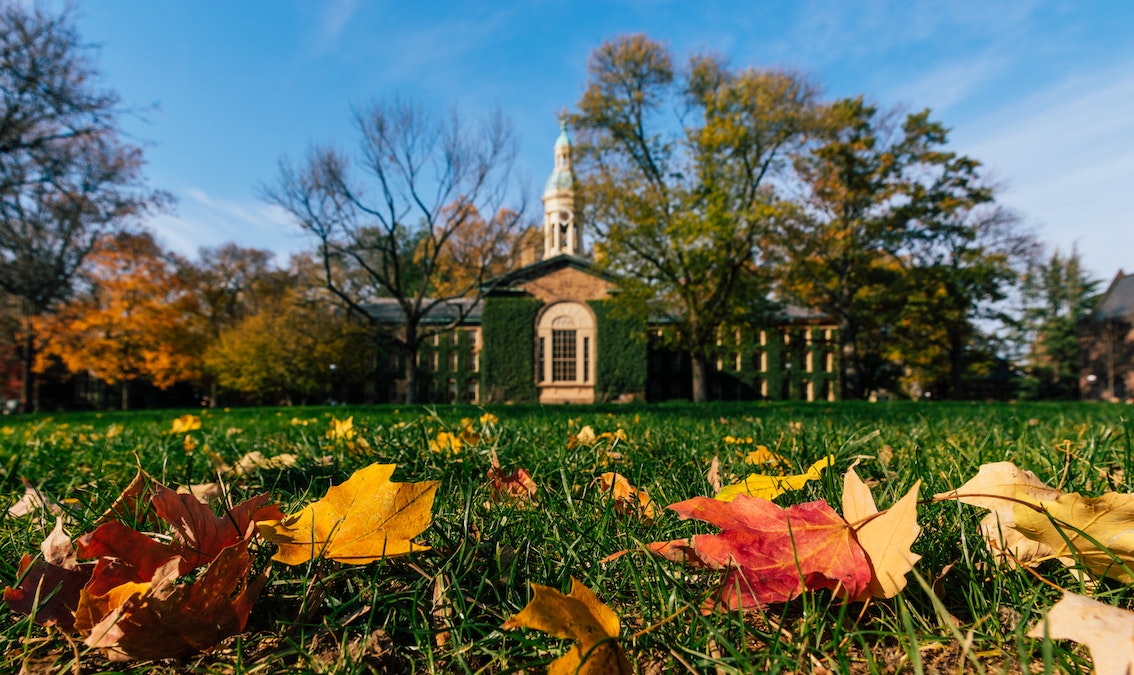 Admissions (parents)